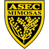 ASEC米莫萨女足队徽