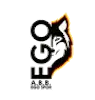 ABB艾格体育队徽
