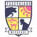 宫崎棒牛鸟队徽